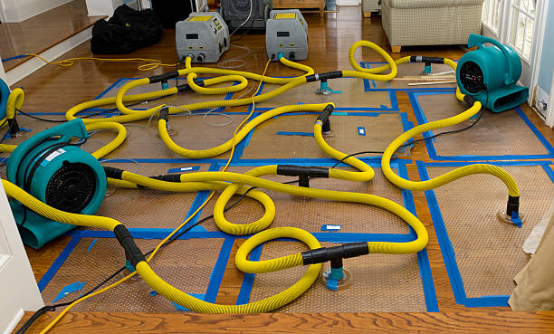 Professional Water Extraction technician working in Garden City, AL