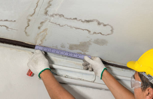 Affordable Water Damage Repair solutions in Garden City, AL